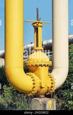 Großes Wasserabsperrventil mit Flanschen und Hebel am Rohrleitungssystem in grünen Büschen gegen klaren blauen Himmel am sonnigen Frühlingstag Stockfoto