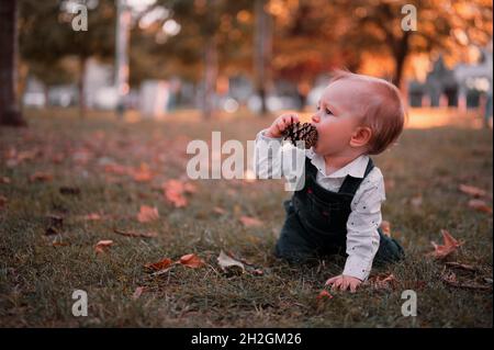 Niedliches kleines Baby kniet auf dem Gras in einem Park Stockfoto