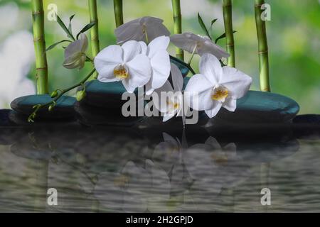 Stillleben mit weißem Orchideenzweig auf den Steinen Stockfoto