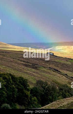 Über den abgelegenen Tälern in Swaledale in der Nähe des Weilers Keld im Yorkshire Dales National Park in Yorkshire, Großbritannien, taucht ein Regenbogen auf. Stockfoto