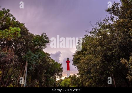 Leuchtturm von La Coubre, im Küstenwald, charente Maritime, Frankreich Stockfoto