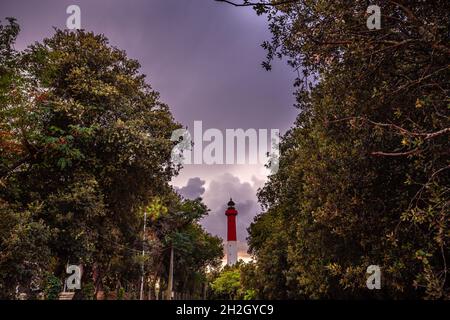 Leuchtturm von La Coubre, im Küstenwald, charente Maritime, Frankreich Stockfoto