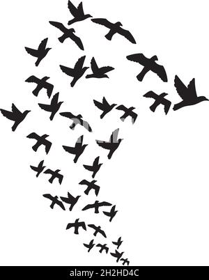Vektorgrafik: Ein Schwarm fliegender Vögel Stock Vektor