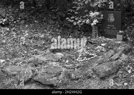 Hundegrab auf dem Hundefriedhof in Portmeirion, Gwynedd, Wales - Roger, unser lieber Freund, der diese Wälder liebte, wird seinen strahlenden Geist leider vermissen Stockfoto