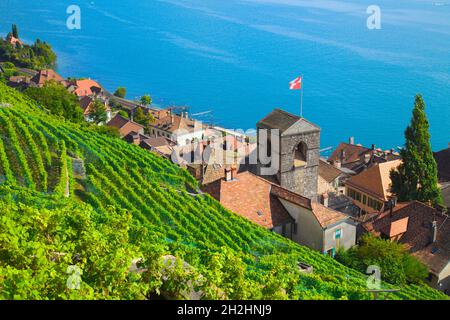 Schweiz, Waadt, Lavaux, St-Saphorin, Weinberge, Stockfoto