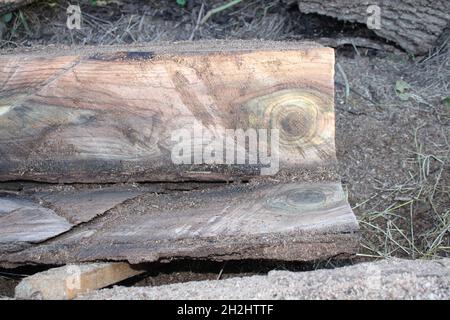 Ein Stück Schwarzwalnusholz Stockfoto