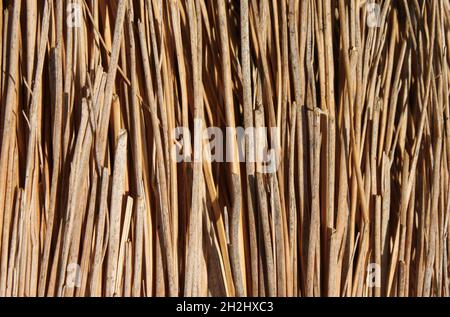 Nahaufnahme eines Strohbeckens Stockfoto