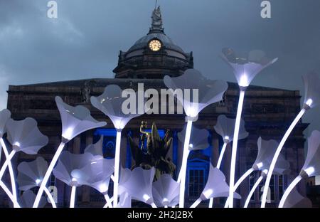 Liverpool Town Hall bei Nacht mit Straßenkunst am Fluss der Lichter Stockfoto