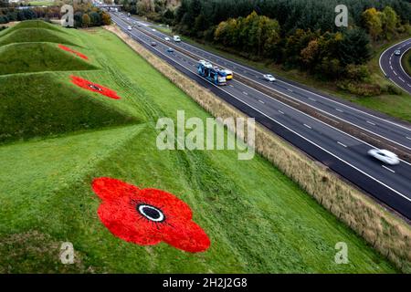 Livingston, Schottland, Großbritannien. Oktober 2021. IM BILD: Luftaufnahmen von riesigen roten Mohnblumen, die auf die Graspyramiden gemalt sind, die an der Autobahn M8 in der Nähe von Livingston und Bathgate Grenzen. Die riesigen Kunstwerke erscheinen jedes Jahr anlässlich der nationalen Einführung des Poppy Scotland-Appells von 2021, der den Beginn der Erinnerungszeit markiert. Die Kunstwerke wurden von den Groundsmen von Murrayfield und Linemark UK Ltd. Gemalt.Quelle: Colin Fisher/Alamy Live News Stockfoto