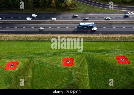 Livingston, Schottland, Großbritannien. Oktober 2021. IM BILD: Luftaufnahmen von riesigen roten Mohnblumen, die auf die Graspyramiden gemalt sind, die an der Autobahn M8 in der Nähe von Livingston und Bathgate Grenzen. Die riesigen Kunstwerke erscheinen jedes Jahr anlässlich der nationalen Einführung des Poppy Scotland-Appells von 2021, der den Beginn der Erinnerungszeit markiert. Die Kunstwerke wurden von den Groundsmen von Murrayfield und Linemark UK Ltd. Gemalt.Quelle: Colin Fisher/Alamy Live News Stockfoto