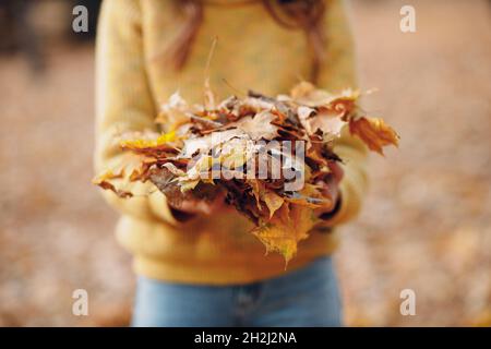 Junge Frau Modell im Herbst Park mit gelben Laub Ahornblätter in den Händen. Stockfoto