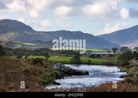 River Owenea in der Nähe von Ardara, County Donegal, Irland. Stockfoto