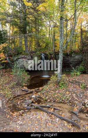 Scott Falls, in der Nähe von Au Train, Upper Peninsula, Michigan, USA, Von James D. Coppinger/Dembinsky Photo Assoc Stockfoto