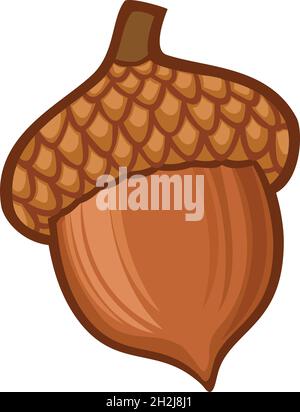 Abbildung des Acorn-Vektors Stock Vektor