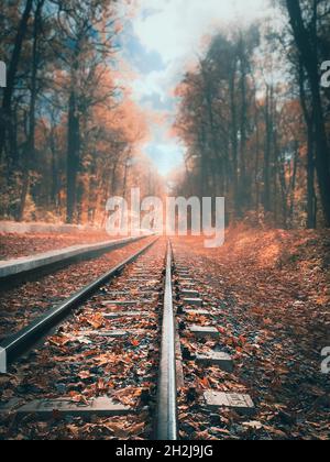 Eisenschienen auf dem Überträger, bedeckt mit gelben trockenen Blättern in einem nebligen Herbstwald in der Nähe des Bahnsteigs. Gleise auf den Gleisen in der Nähe der Plattform im Herbstwald. Stockfoto