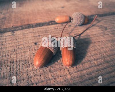 Reife trockene Eicheln mit Hüten liegen im Herbst auf einem Holzbrett. Eicheln auf einem hölzernen Hintergrund. Herbstaufnahme. Stockfoto