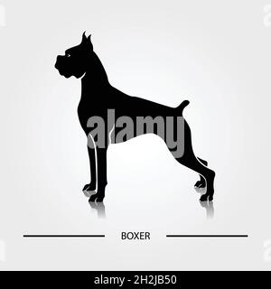 Boxer Hund Silhouette Vektor Illustration. Schwarze Silhouetten von Hunderassen. Stock Vektor