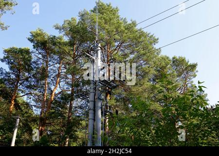 Es gibt eine Stromleitung mit ihrem Mast und Kabel können im Wald zwischen vielen Bäumen gesehen werden. Diese Linie führt durch den Wald in Polen in der Nähe eines Dorfes Stockfoto