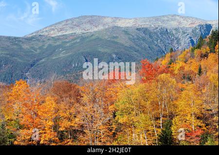 Herbstlaub in der Nähe des Wildcat Mountain in der Nähe von Jackson, New Hampshire, USA Stockfoto