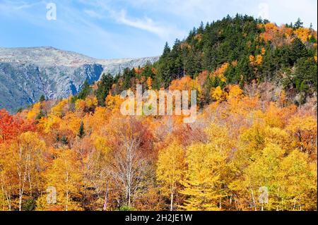 Herbstlaub in der Nähe des Wildcat Mountain in der Nähe von Jackson, New Hampshire, USA Stockfoto