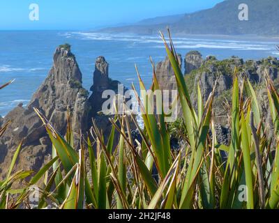 Weißen Kalkstein, Felsformationen und feinen Sandstrand an der Cathedral Cove auf der Coromandel Halbinsel in Neuseeland, Nordinsel Stockfoto