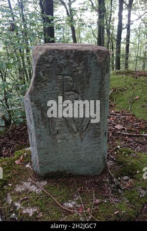 Grenzstein am Dreiländereck Rheinland Pfalz / Deutschland, Elsass / Frankreich und Lothringen / Frankreich mit Schnitzwerk für Ludwigswinkel, ehemaliges Bayern Stockfoto