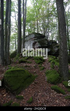 Felsformation in Pfälzerwald und Vogesen mit dem Dreiländereck Rheinland-Pfalz, Deutschland, Elsass, Grand Est, Frankreich oben Stockfoto