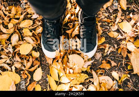 Frau steht auf herbstlich gefallenen Blättern in einem Park, im Freien. Stockfoto