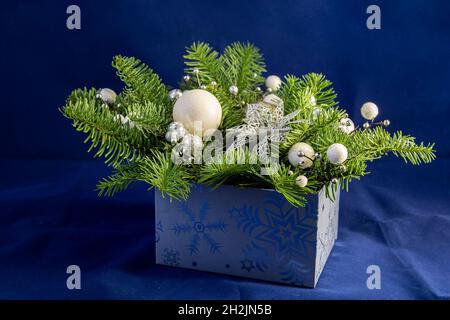 Weihnachtskomposition mit Nadelbäumen in Jochen und weißen Kugeln in einer blauen Box auf blauem Hintergrund. Stockfoto