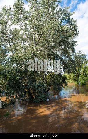 Die Mosel überflutete Teile der Stadt Trier, Klimawandel, Deutschland, Sommer 2021 Stockfoto