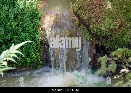 Kleiner Wasserfall mit Kaskaden in Fournas auf den azoren Stockfoto