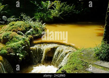 Kleiner Wasserfall mit Kaskaden in Fournas auf den azoren Stockfoto