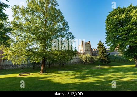 Öffentlicher Park und die mittelalterliche Umbaumauer des kleinen Dorfes Lazise, Ferienort an der Küste des Gardasees. Verona, Venetien, Italien. Stockfoto