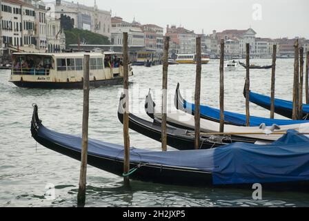 VENEDIG, ITALIEN - 13. Okt 2013: Traditionelle schwarze Gondeln, die auf Masten am Canal Grande, Italien, festgemacht sind Stockfoto