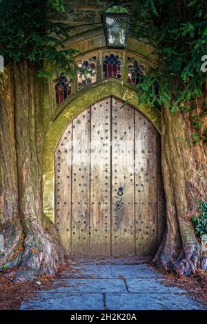 Die Nordtür der St. Edward's Kirche mit zwei alten Eibenbäumen, die auf beiden Seiten wachsen, Stow on the Wold, Gloucestershire. Stockfoto