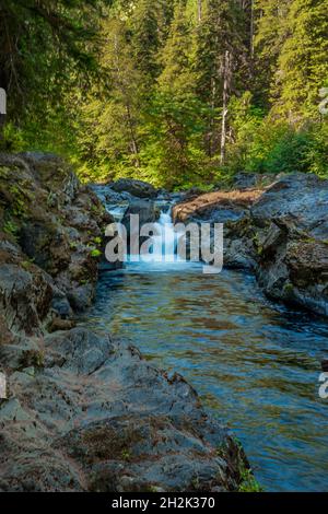 Schöne Szene von Wasserfall und Bach mit dem hinterleuchteten Wald des Olympic National Park im Hintergrund Stockfoto