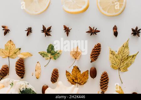 Herbstflachlage mit Zitronenscheiben, gelben Blättern, Zapfen, Eichel, Anise Stockfoto