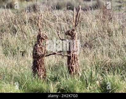 Nahaufnahme von zwei Kaninchenfiguren, die von Baumzweigen in der Fi gemacht wurden Stockfoto