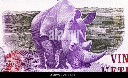 20 Meticais-Polymerbanknote, Bank of Mosambik, Klonauflaschentabelfragment zeigt Panoramablick auf Savanne und Nashorn, ausgestellt am 2011 Stockfoto