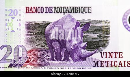 20 Meticais-Polymerbanknote, Bank of Mosambik, Klonauflaschentabelfragment zeigt Panoramablick auf Savanne und Nashorn, ausgestellt am 2011 Stockfoto