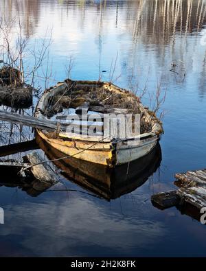 Ein altes verlassene Boot auf dem Fluss hielt in der Arche an. Im Boot wuchs ein Wald in Miniatur mit Moosgras und Bäumen. Frühling Stockfoto
