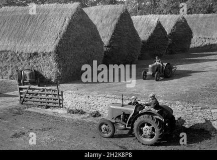 Landarbeiter mit Traktoren und aufgeschlagen Heuhaufen Großbritannien der 1950er Jahre Stockfoto