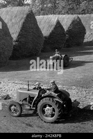 Landarbeiter mit Traktoren und aufgeschlagen Heuhaufen Großbritannien der 1950er Jahre Stockfoto