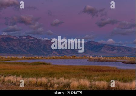 Dawn, Feuchtgebiete, Mono Lake, Mono Basin National Forest Scenic Area, Inyo National Forest, Eastern Sierra, Kalifornien Stockfoto
