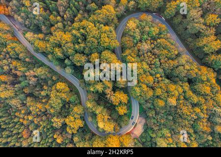 Blick von oben auf einen herbstlichen Wald mit doppelter Kurve und treibenden Autos. Stockfoto