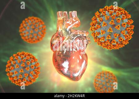 Covid-19-Viren, die das Herz beeinflussen, Illustration Stockfoto