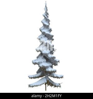 3D-Illustration Winter Tanne im Schnee isoliert auf weißem Hintergrund Stockfoto