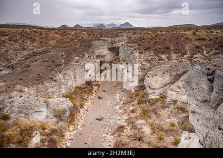 Blick auf den Tuff Canyon in Big Bend Stockfoto