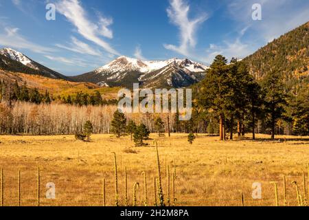 Lockett Meadow und San Francisco Peaks in Flagstaff, Arizona Stockfoto