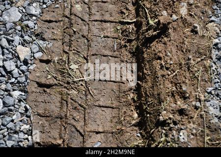 Reifenspuren im Schlamm auf einer Zementstraße. Stockfoto